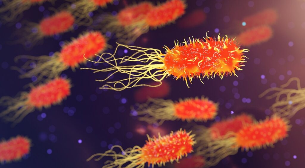 Infectious Diseases