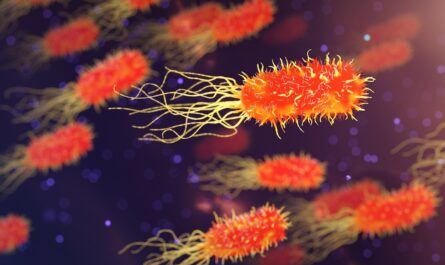 Infectious Diseases