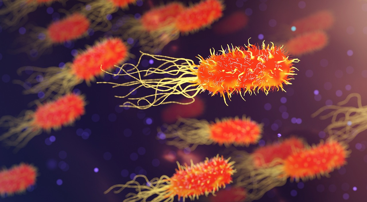 Infectious Diseases