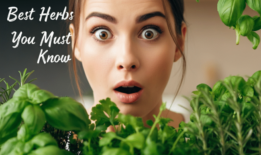 More Than Flavor: The Surprising Health Secrets of Best Herbs!